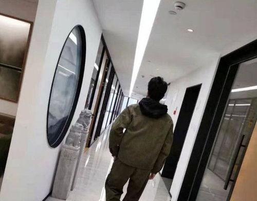 舅舅直播爆料视频,独家爆料背后的惊人真相  第2张