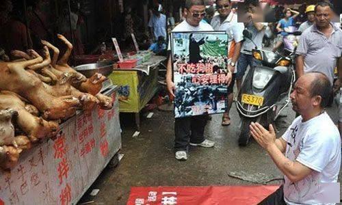 贵港宠物店爆料事件最新,揭露行业黑幕,宠物权益引关注 第1张 贵港宠物店爆料事件最新,揭露行业黑幕,宠物权益引关注 第1张