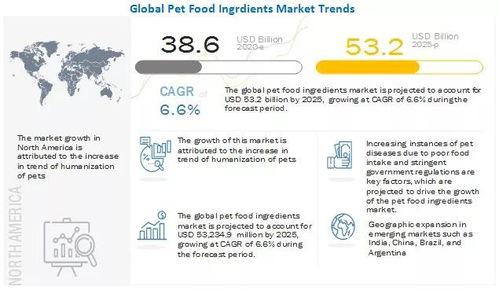 最新宠物爆料2025  第2张